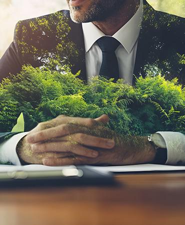 Direito Ambiental - Danilo Macedo Advocacia